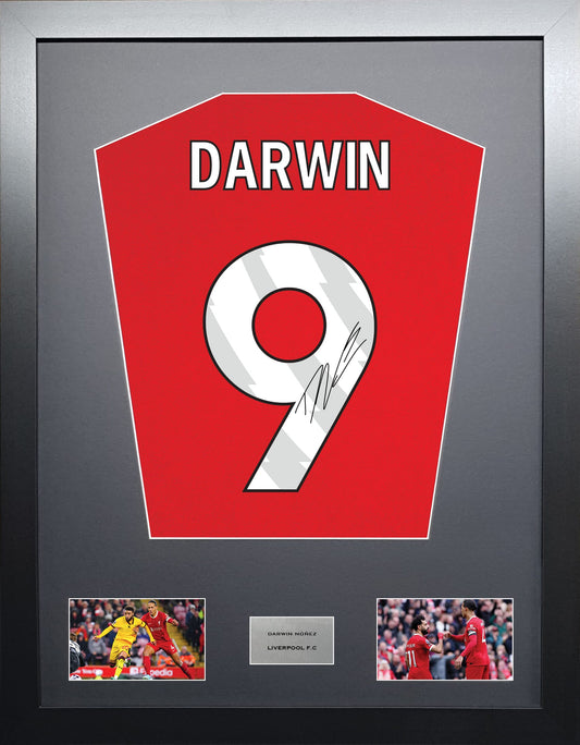 Darwin Nunez Liverpool signed shirt display 2024 season